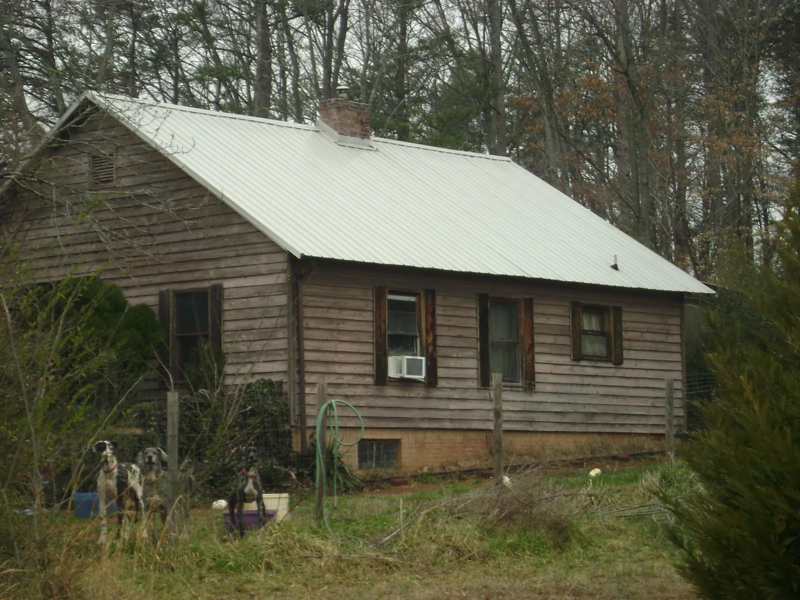 White metal roof on an old wood sided farmhouse, from a Asphalt Shingle Roof Repair job in Kinsman
